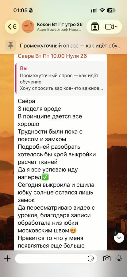 Скриншот переписки с ученицей студии
